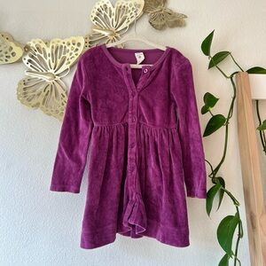 Kate Quinn Plum Velour Dress